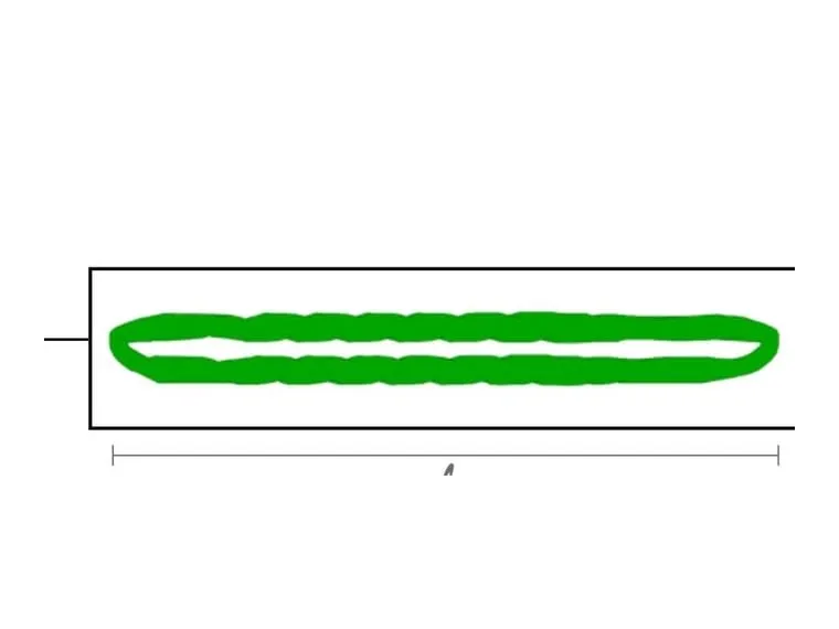 Eslingas Dyneema (roundslings)
